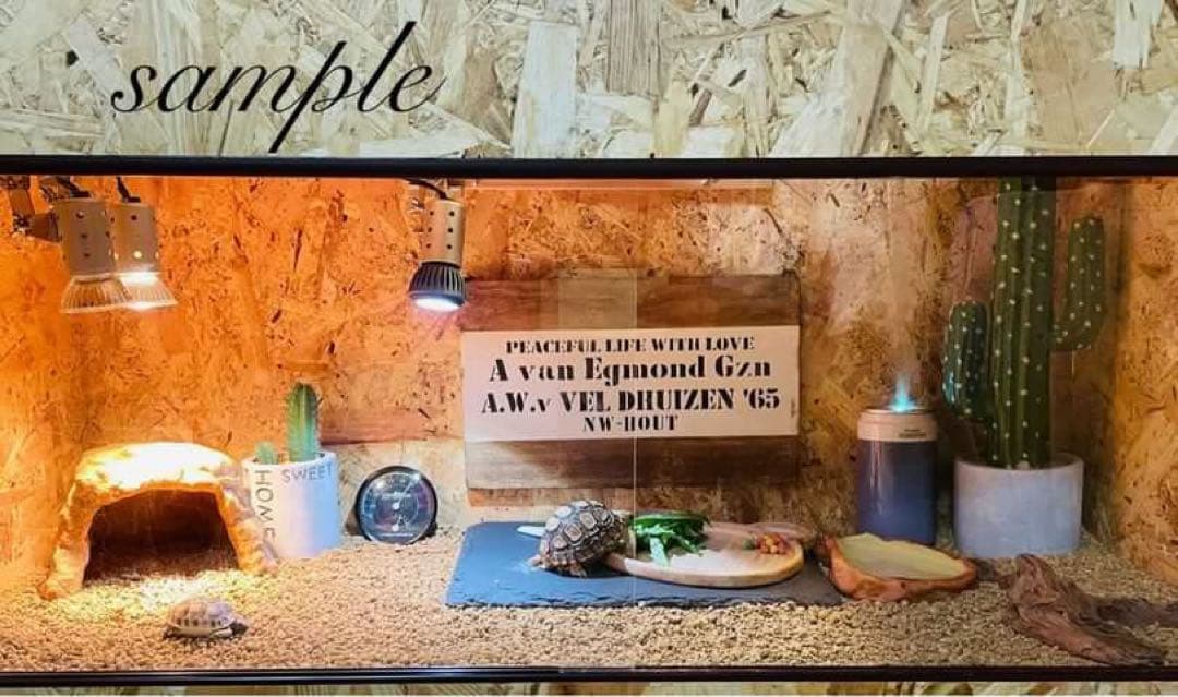 ラバーン爬虫類ケージ　プロフ必読　フルオプ送料込み