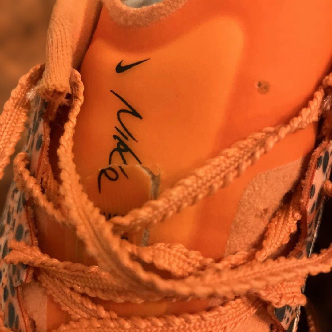 Nikeナイキマックスフライ2オリンピックカラー