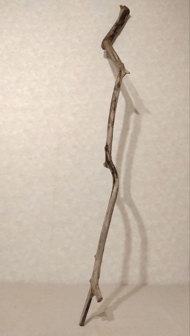 【希少】ガーデニング・DIY向け 超特大サイズロング流木 約160cm