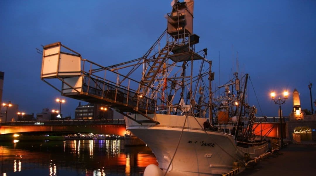 CANON　EOS　20D ダブルレンズ　初心者　一眼レフ⚡️キャノン⚡️望遠