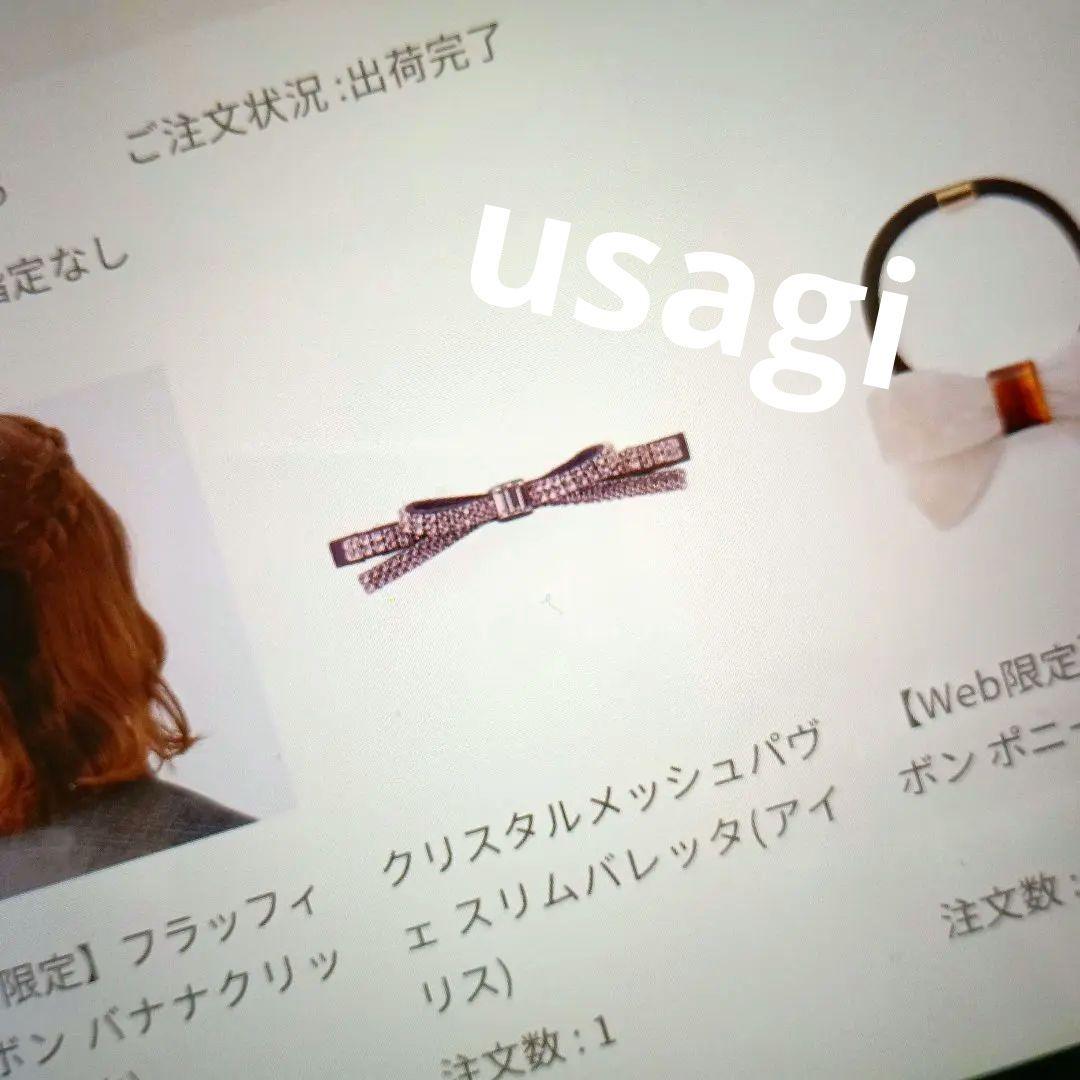 コンプレックスビズ　クリスタルメッシュパヴェ　スリムバレッタ　アイリス