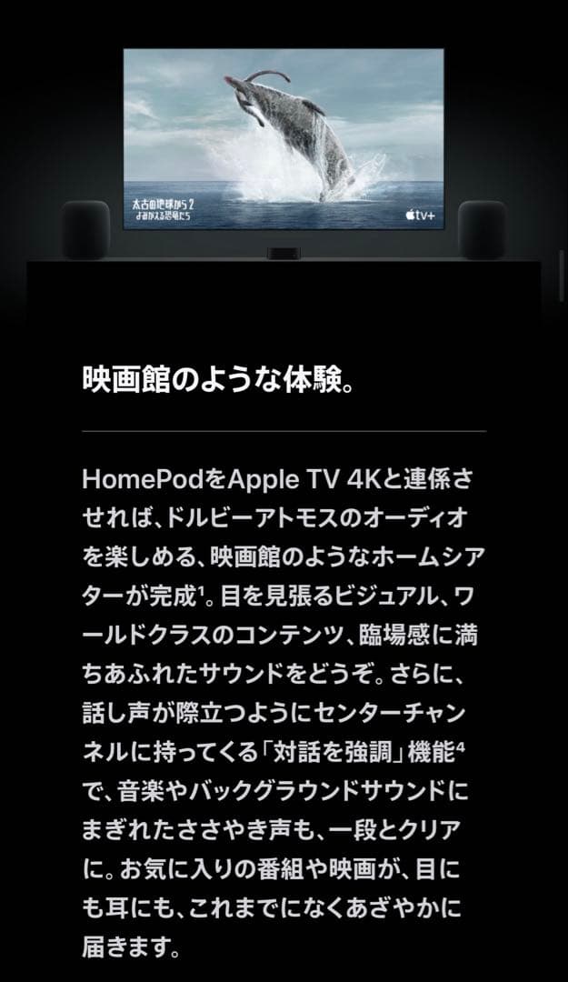 Pod【第一世代】 ホームポッド 2台セット Apple