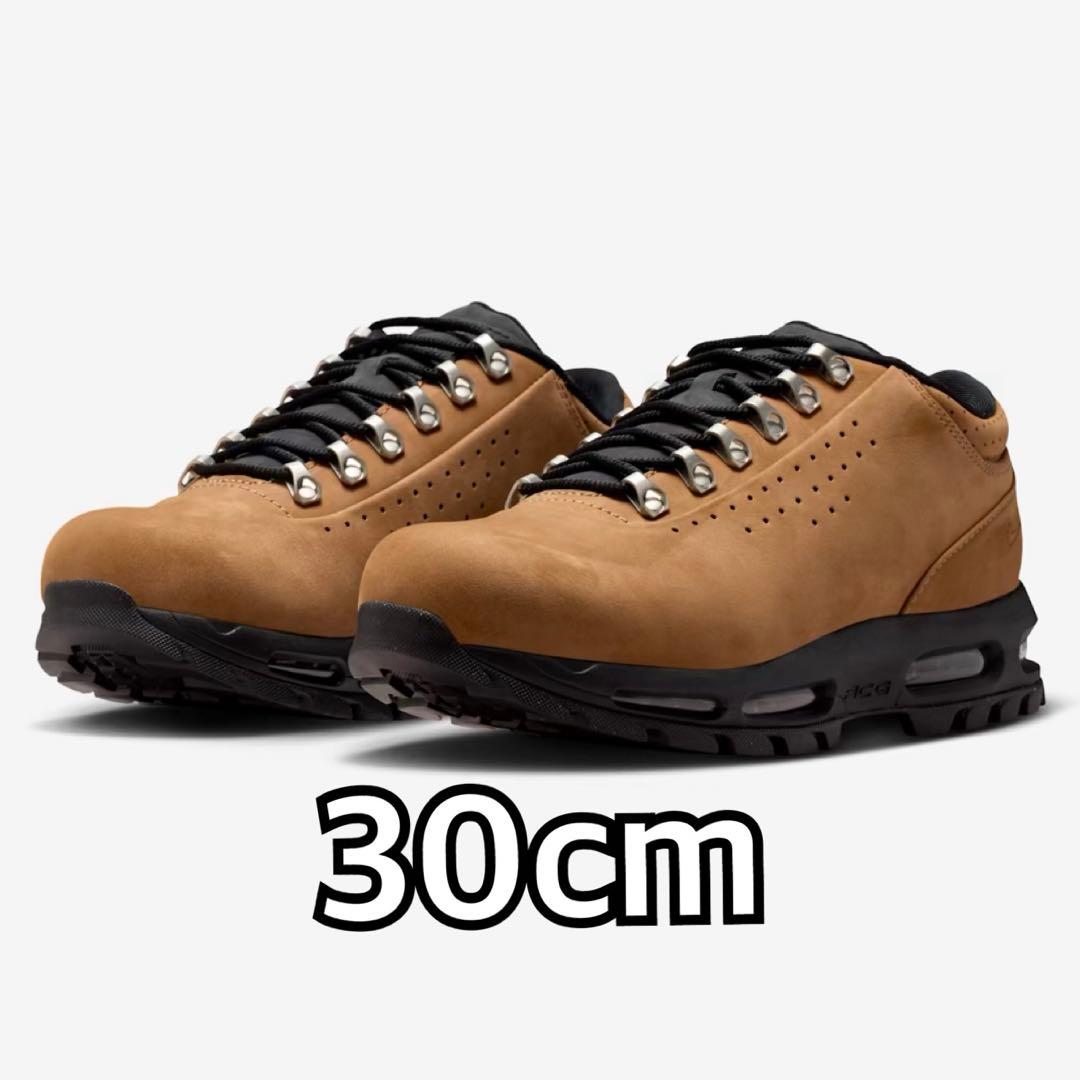 靴 Nike Air Max Goadome Low SP Taupe 30cm