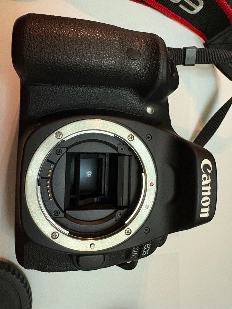 Canon EOS 80D デジタル一眼レフセット