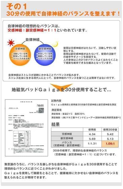 【こまふふなめこ】地磁気パット　Gaiga（ガイガ）