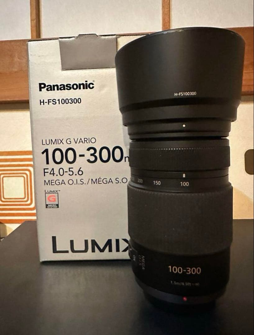 値下げ LUMIX G VARIO100-300mm
