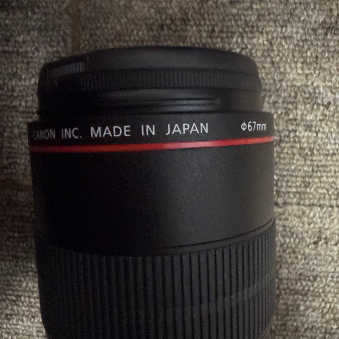 Canon EF 100mm f/2.8L Macro IS USM キャノン