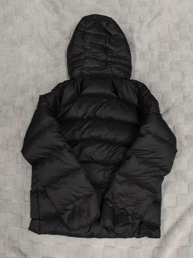 Patagonia メンズフィッツロイダウンフーディー