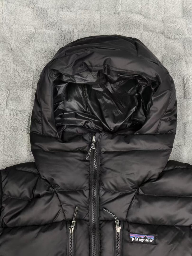 Patagonia メンズフィッツロイダウンフーディー