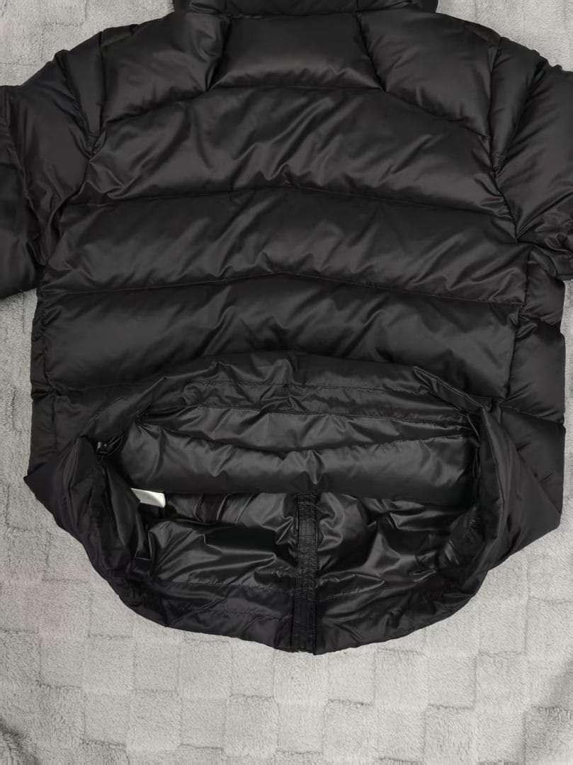 Patagonia メンズフィッツロイダウンフーディー