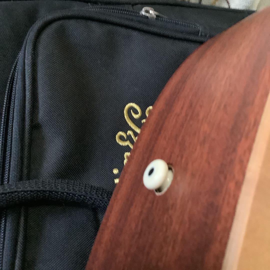 リトルマーチン LX1 Little Martin バッグ付き