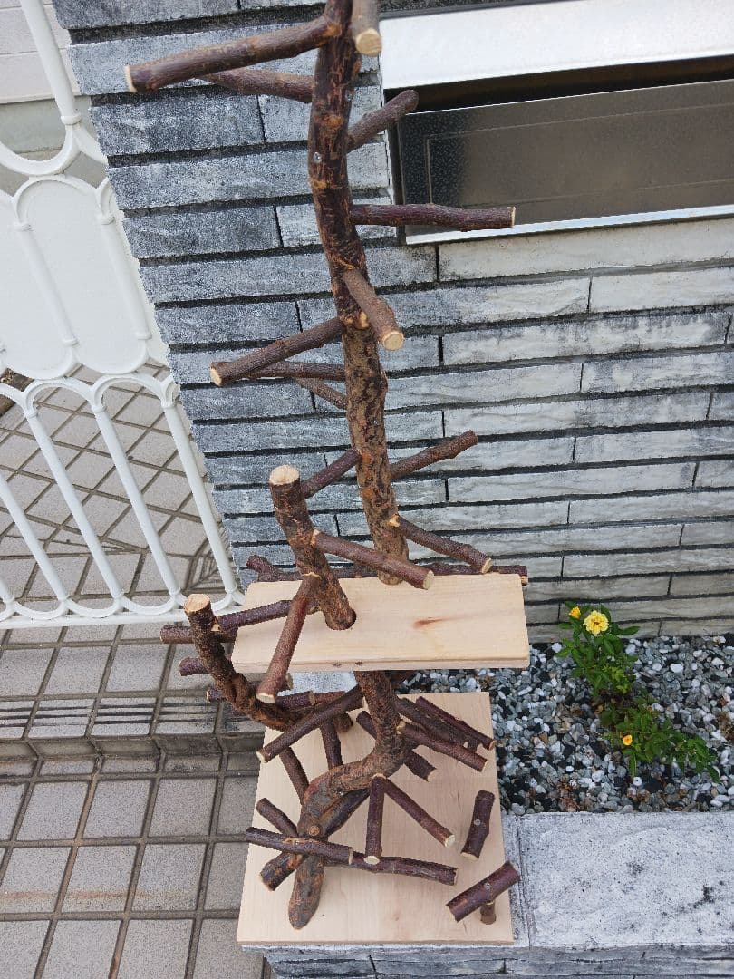 バードアスレチック バードアスレチックジム 止まり木、小鳥 No.911