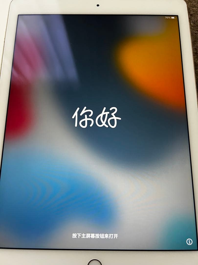 Apple iPad Air2 ゴールド 本体