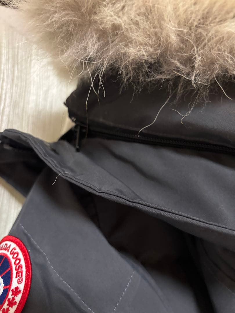 シドニー　マッケンジー