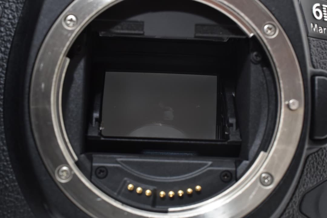 Canon EOS 6D Mark II ボディ 0171