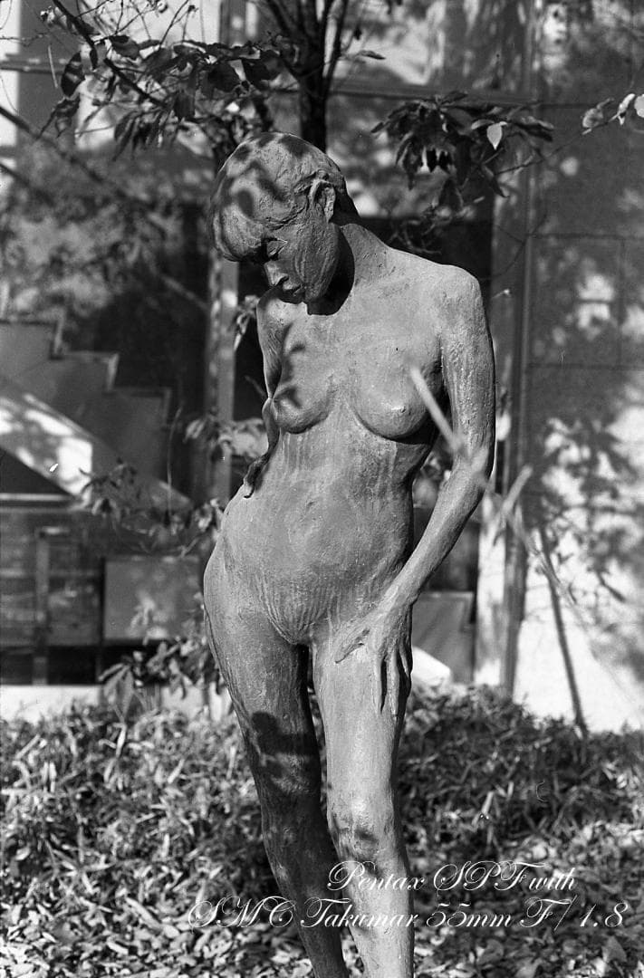 【整備済完動品】PENTAX SPF SMC TAKUMAR 55mm F1.8