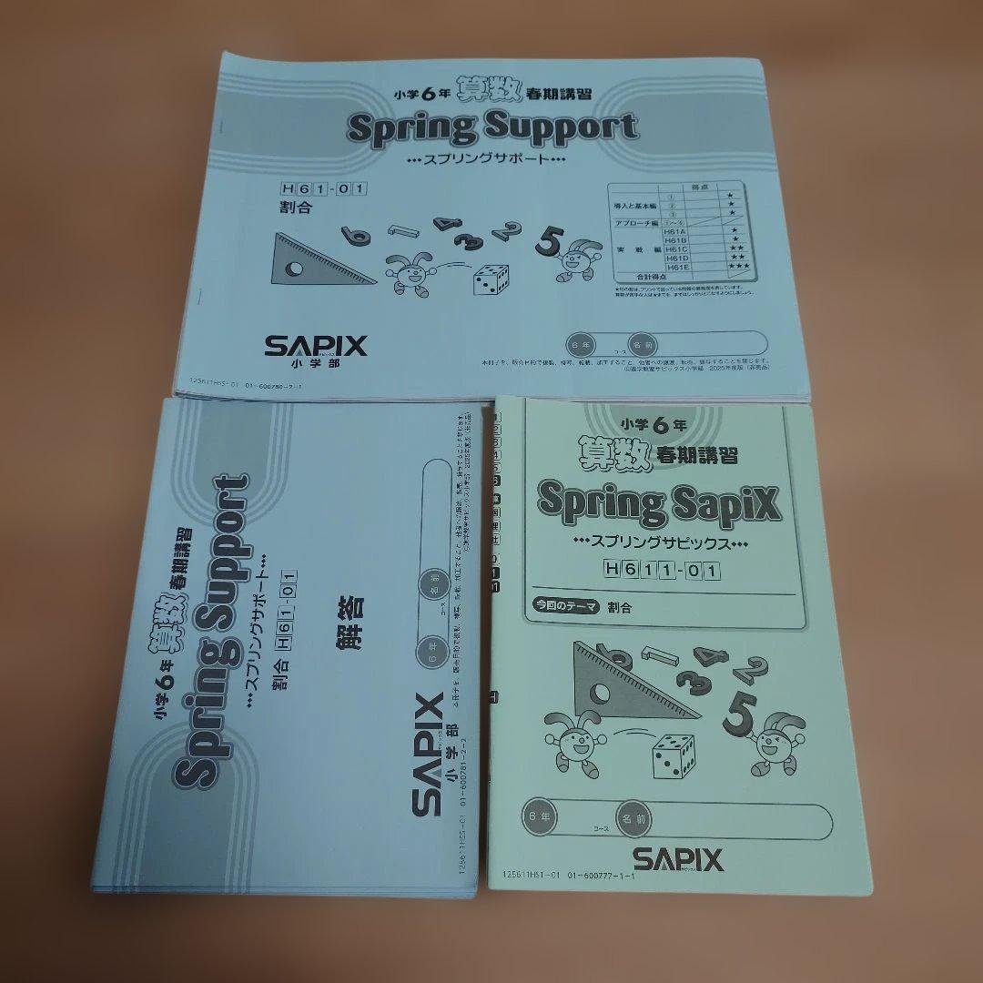 最新2025 SAPIX 小6 書込み少 デイリーサピックス 土特 講習 他