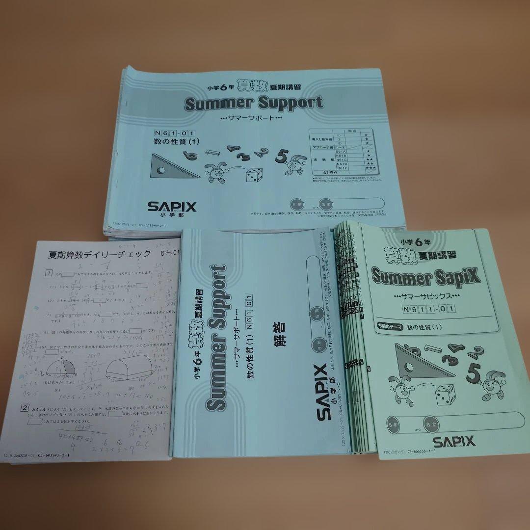 最新2025 SAPIX 小6 書込み少 デイリーサピックス 土特 講習 他