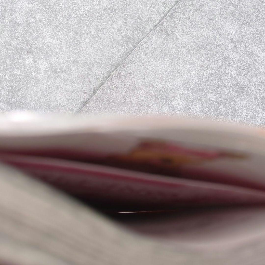 新品 ワンピース学園 10 プロモカード シュリンク付