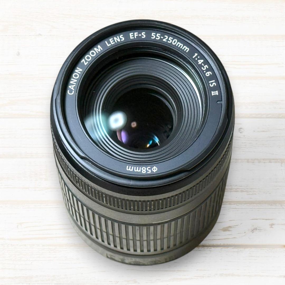 Canon ズームレンズ EF-S 55-250mm IS Ⅱ #89