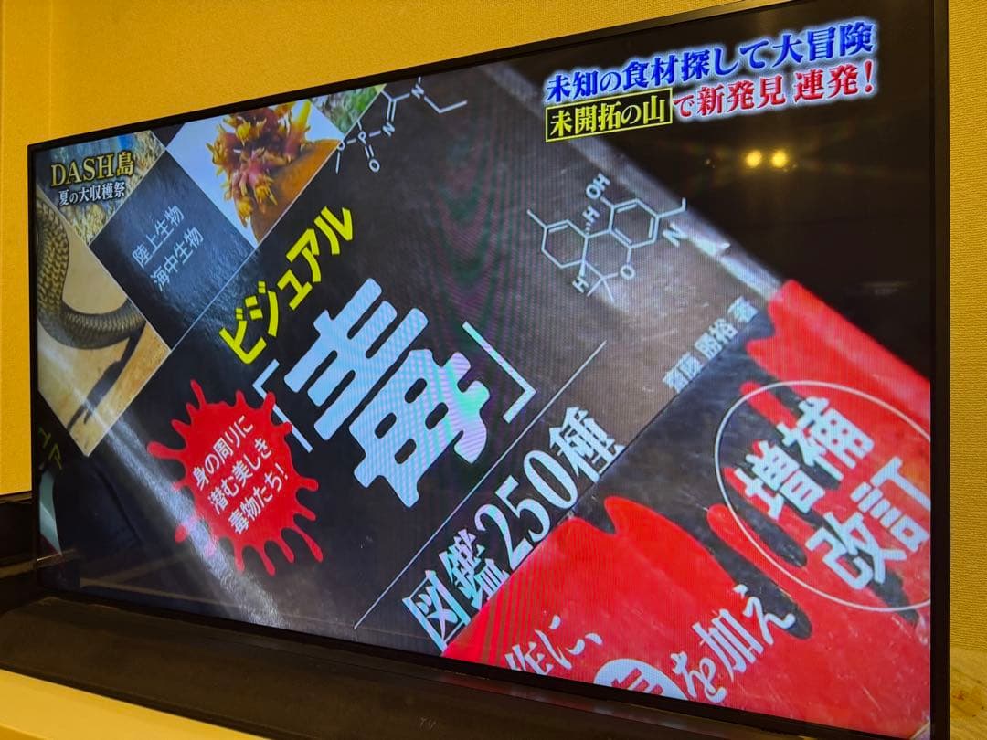 REGZA 55J10 55インチ 液晶テレビ　2K フルHD LEDパネル