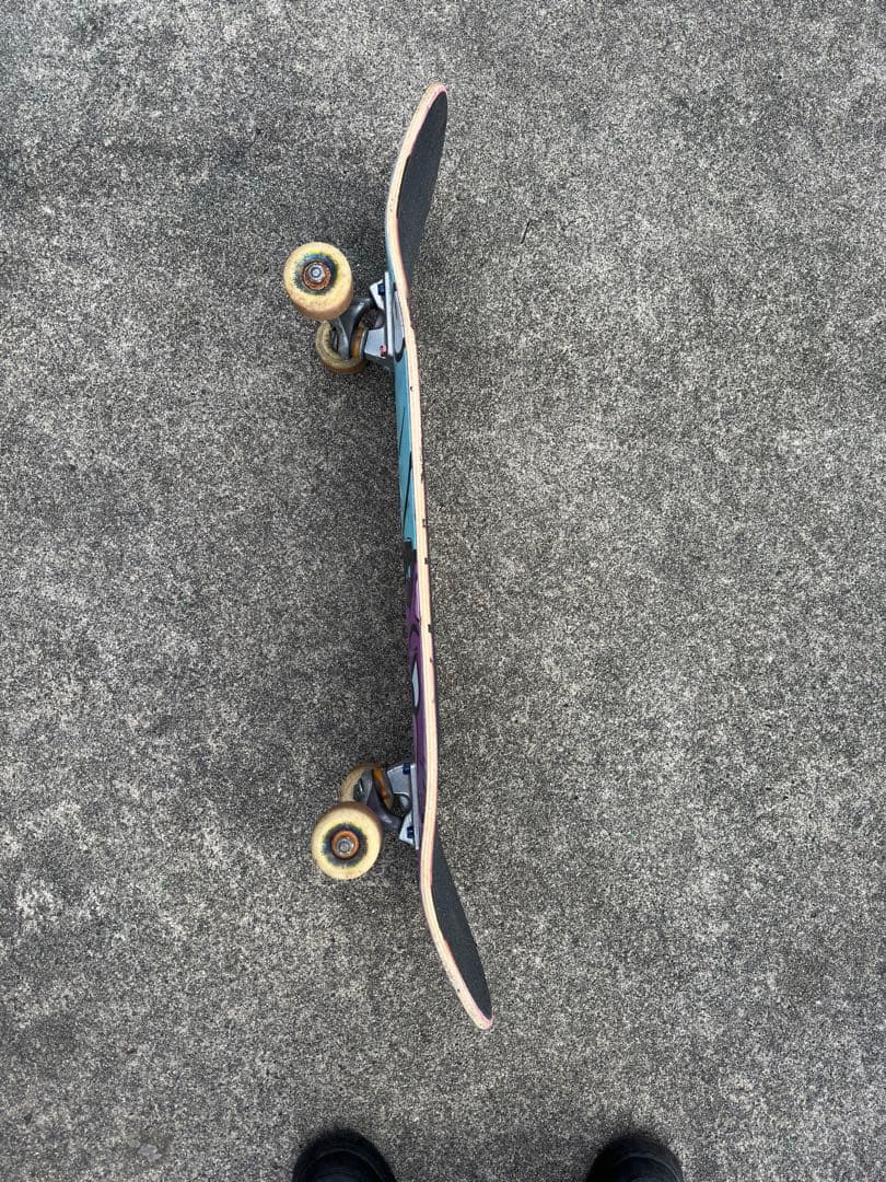 スケートボード　8.25inch コンプリート　RIPNDIP