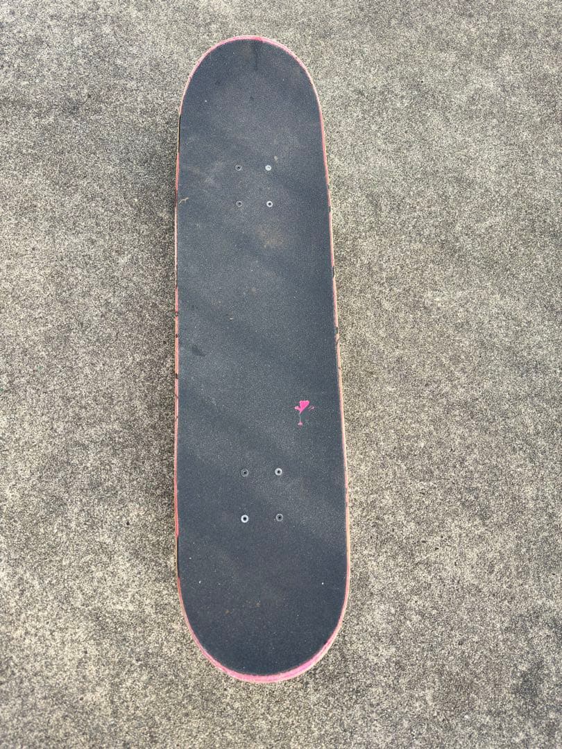 スケートボード　8.25inch コンプリート　RIPNDIP