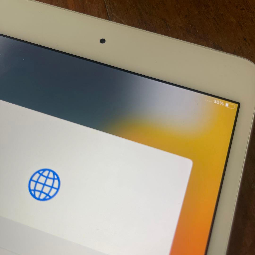 iPad mini 4 美品　バッテリーに問題あり16GB