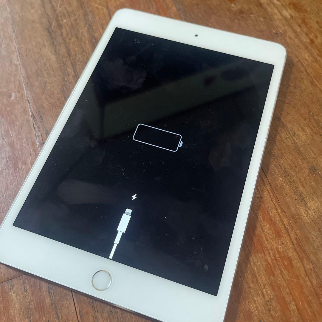 iPad mini 4 美品　バッテリーに問題あり16GB