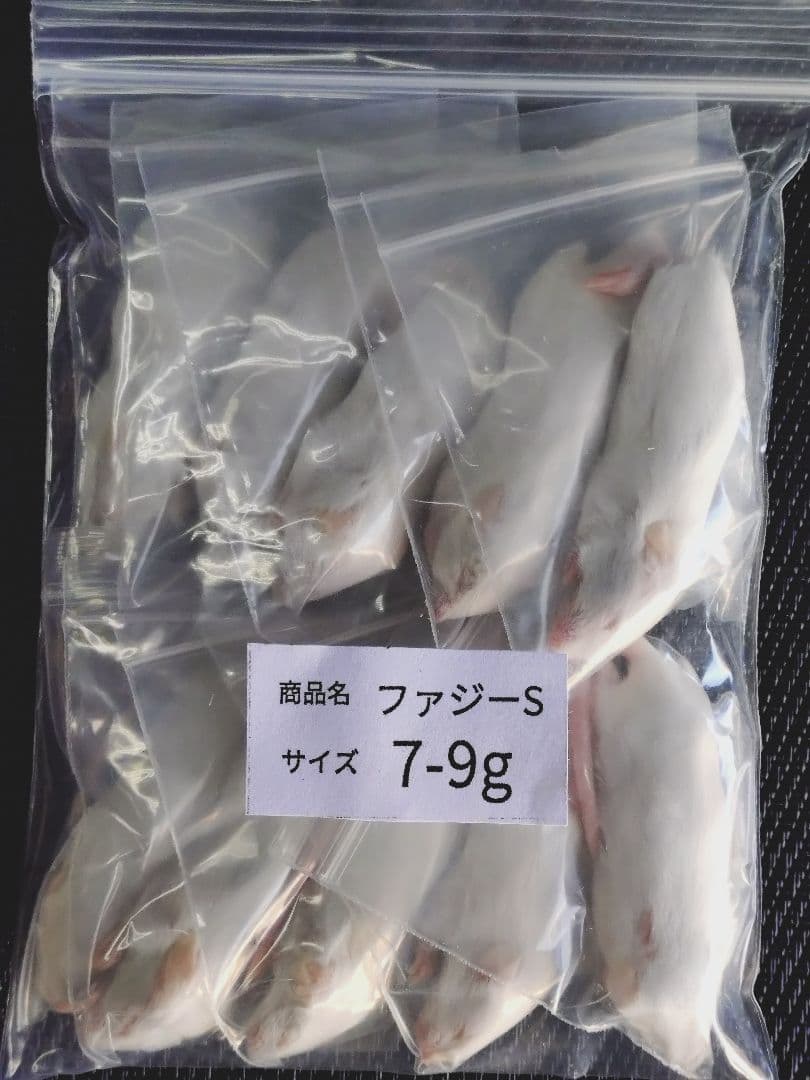 TSK　送料無料　冷凍マウスファジーS20匹リタイア30匹ホッパー20匹