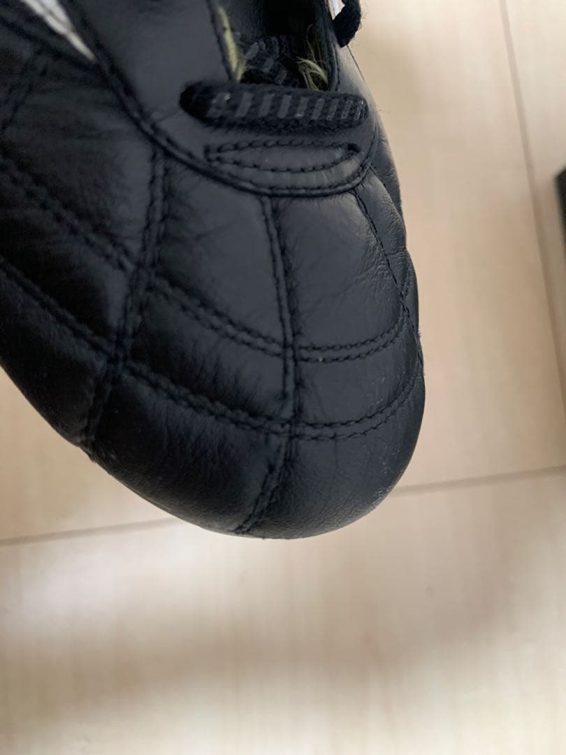 モレリア 2 クロスステッチ26cm