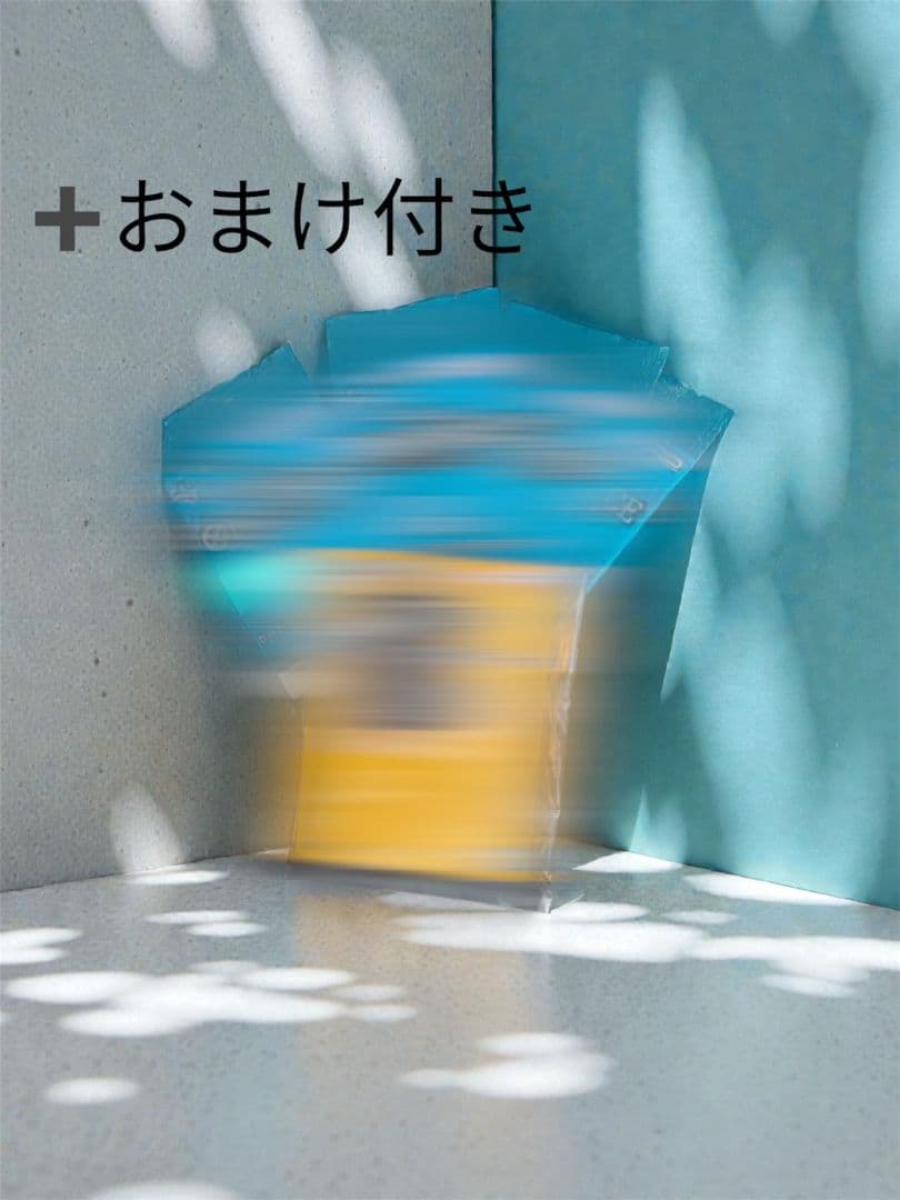 ワンピカード ワンピース 一番くじ 購入特典カード＋おまけ付き