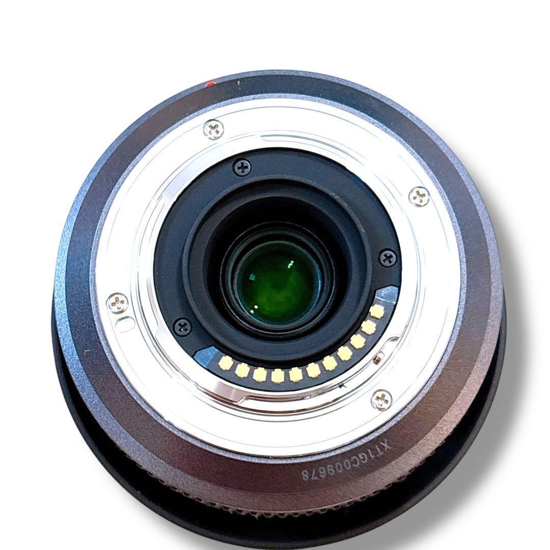 Panasonic LUMIX DMC-G3 レンズ2本セット フラッシュ付