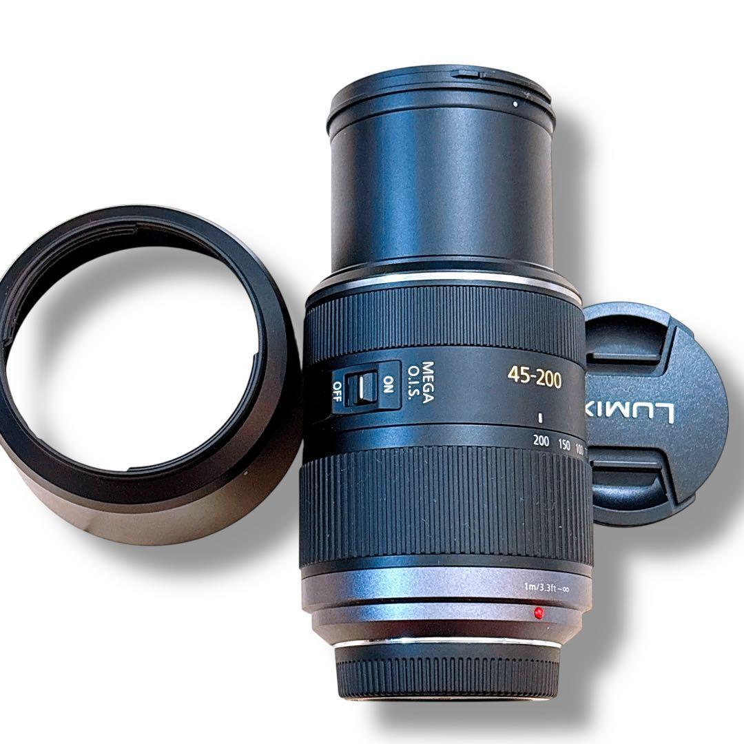 Panasonic LUMIX DMC-G3 レンズ2本セット フラッシュ付