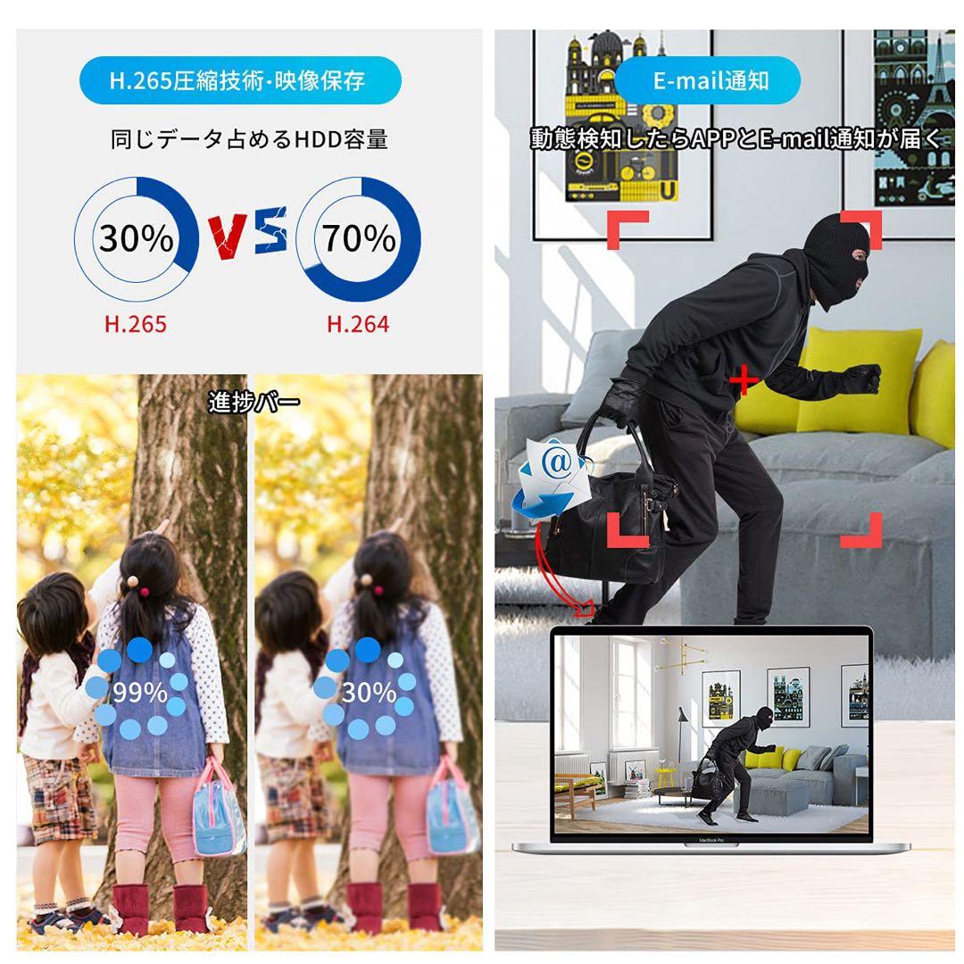 Brillcamドーム型防犯カメラ 4K