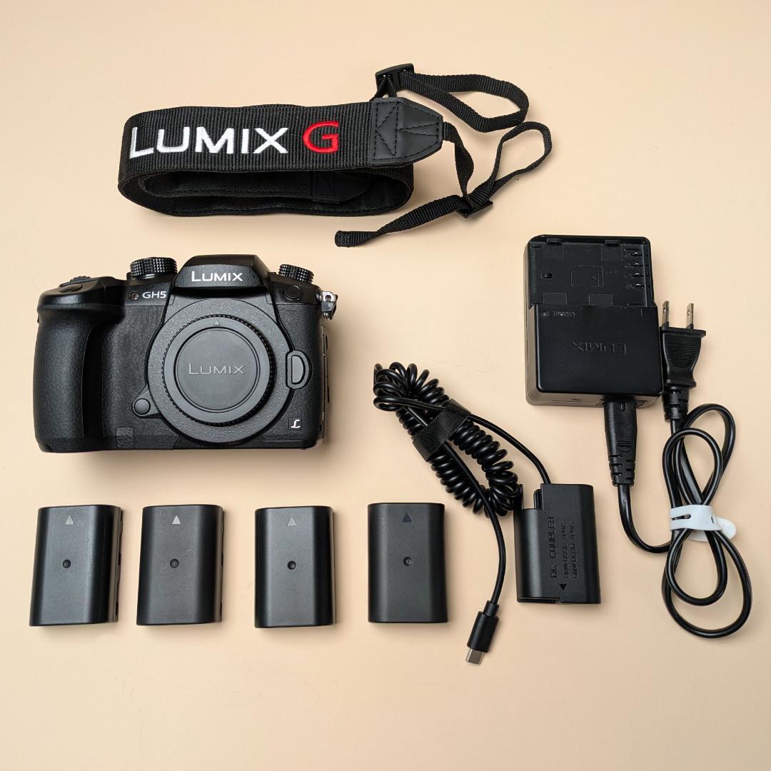 Panasonic GH5（LUMIX DC-GH5）ボディ