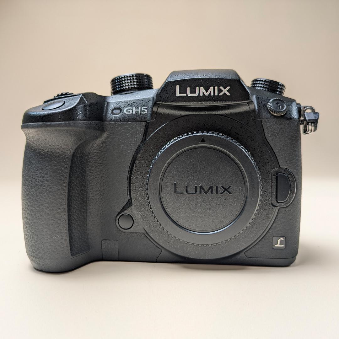 Panasonic GH5（LUMIX DC-GH5）ボディ