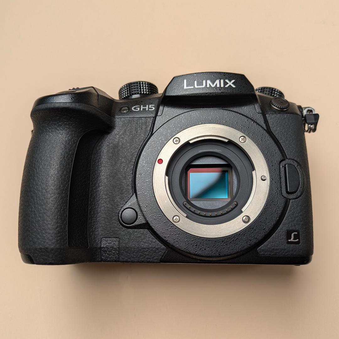 Panasonic GH5（LUMIX DC-GH5）ボディ