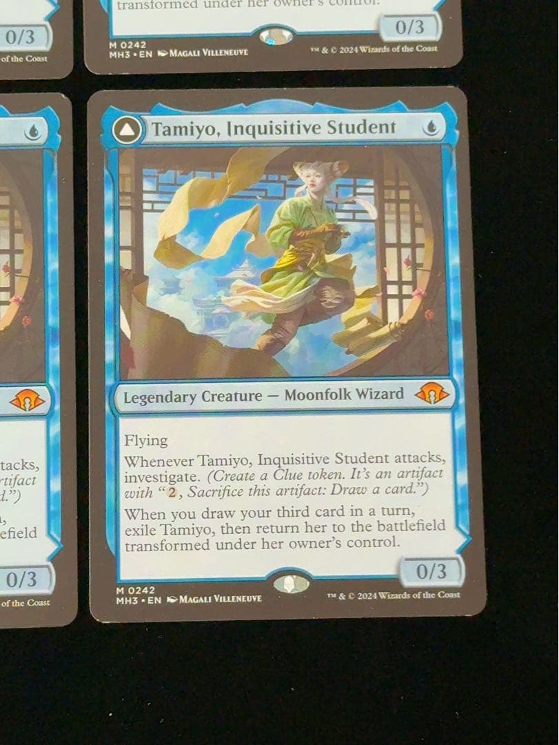 【1枚PW面の白かけ】知りたがりの学徒、タミヨウ　英語　4枚