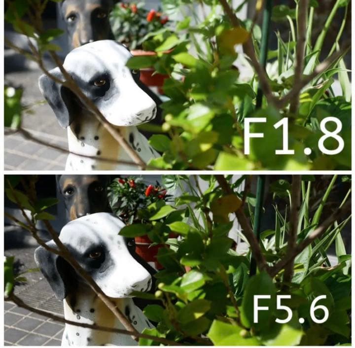 25mm F1.8 単焦点レンズ お散歩レンズ 軽量コンパクト！表現力！美品！