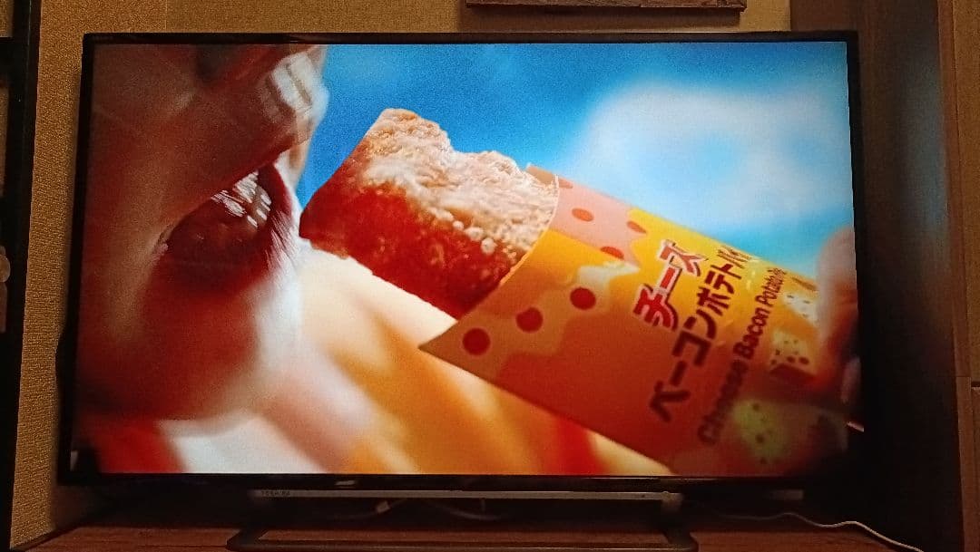 TOSHIBA REGZA 43G20X 液晶テレビ