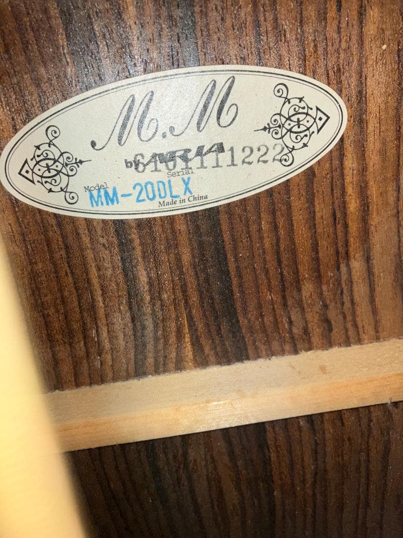 ARIA MM-20 DLX　ジプシージャズ　ギター　ハードケース付属