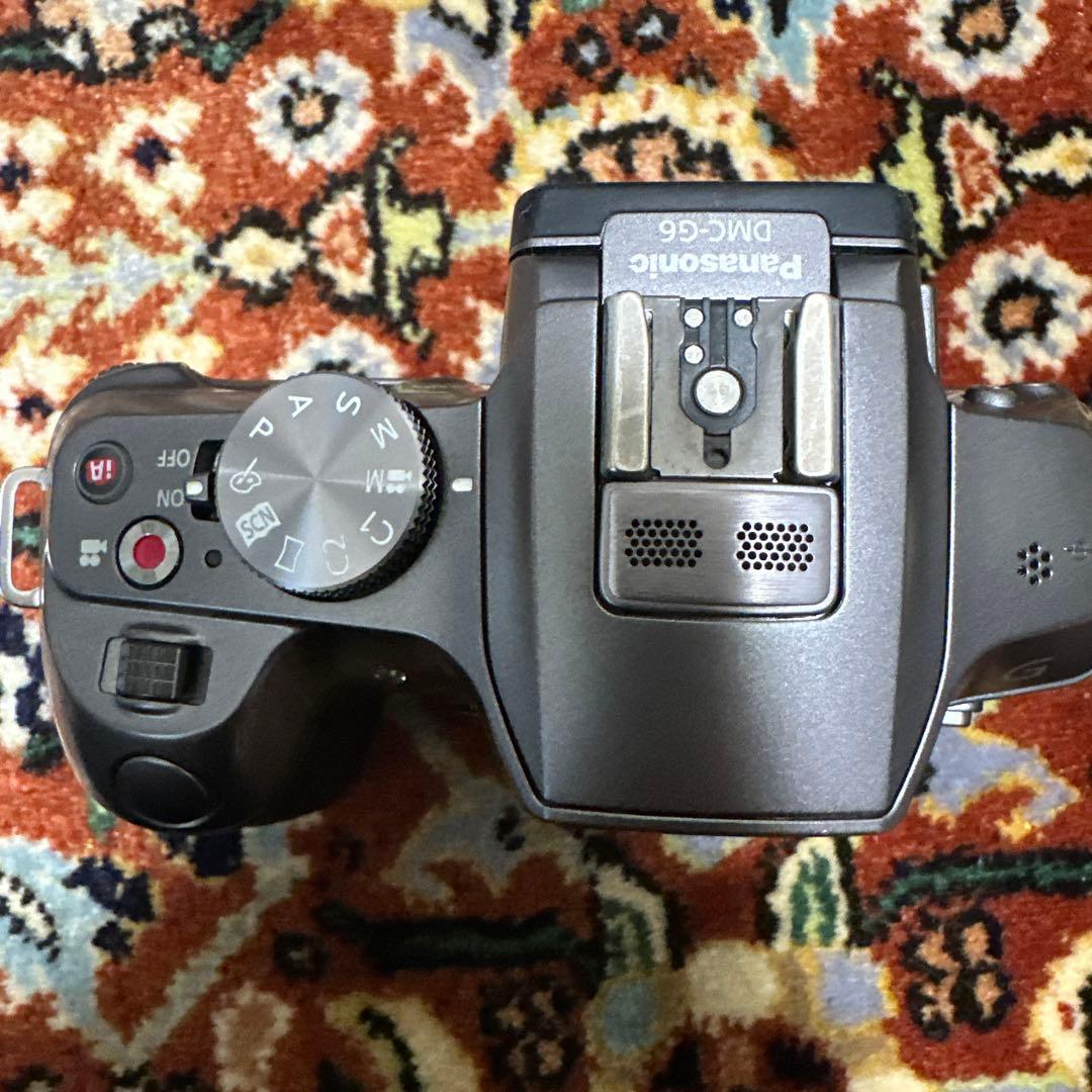 Panasonic DMC-G6 本体 【値下げしました】