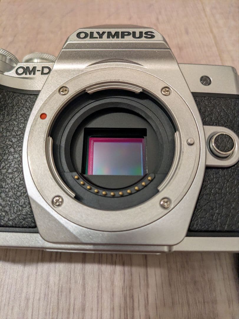 【値下げ中】【おまけ付き】OLYMPUS OM-D E-M10 Mark III