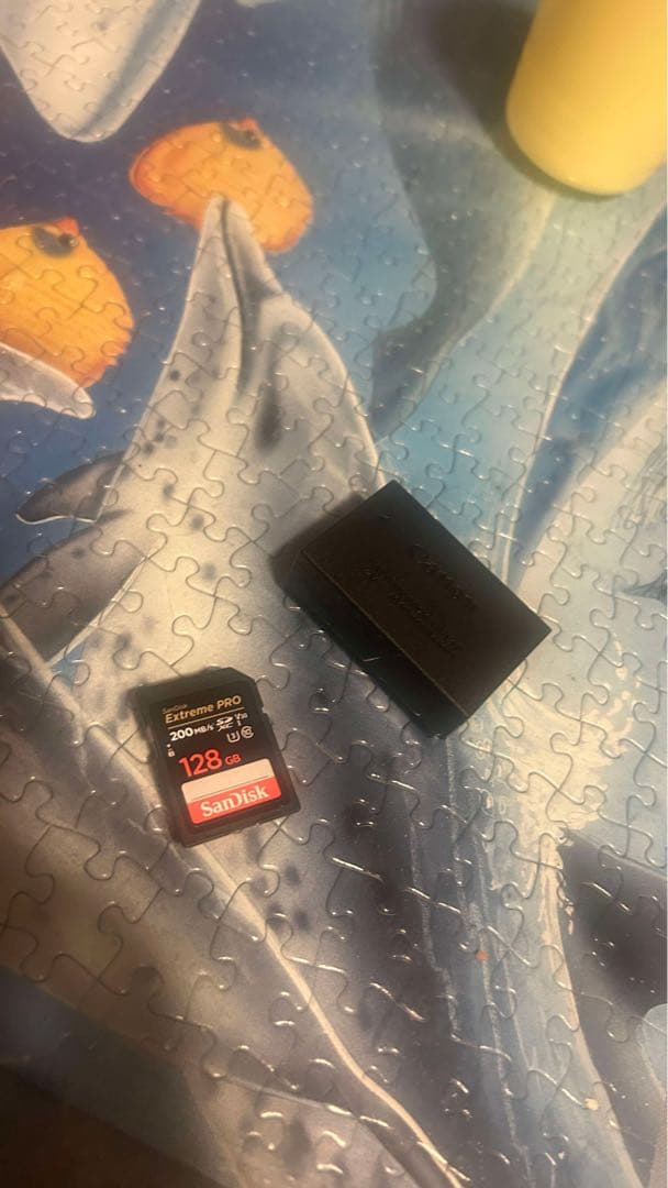 Canon EOS R10 ミラーレス一眼カメラ SDカード　128GB