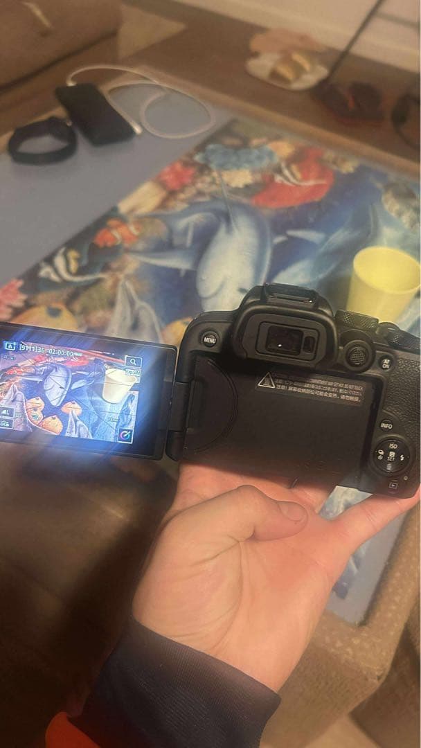 Canon EOS R10 ミラーレス一眼カメラ SDカード　128GB