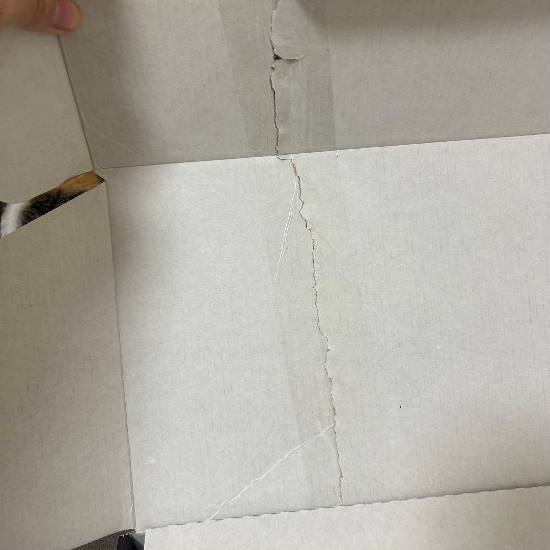 ニンテンドースイッチ　ニンテンドーSwitch 本体