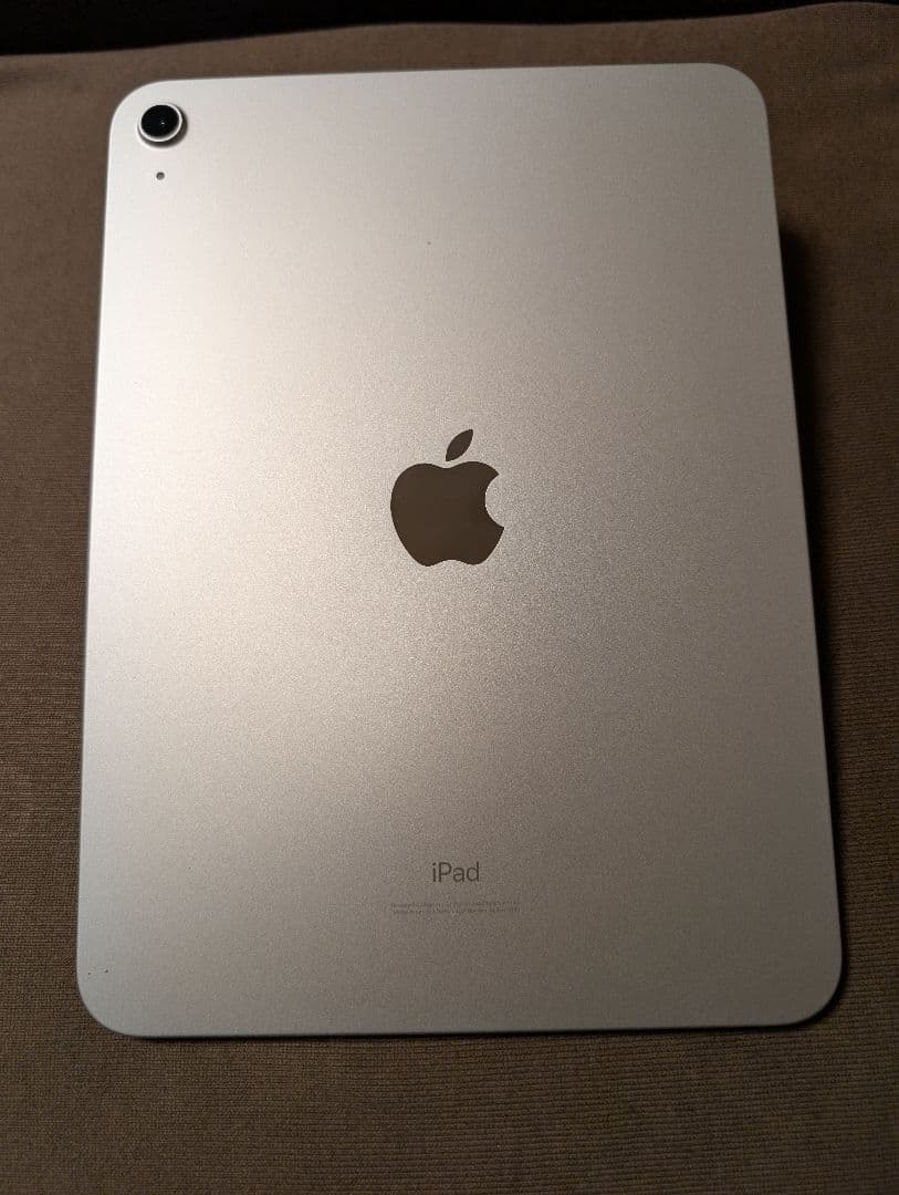 Apple　iPad　第10世代　256GB　Wi-Fiモデル