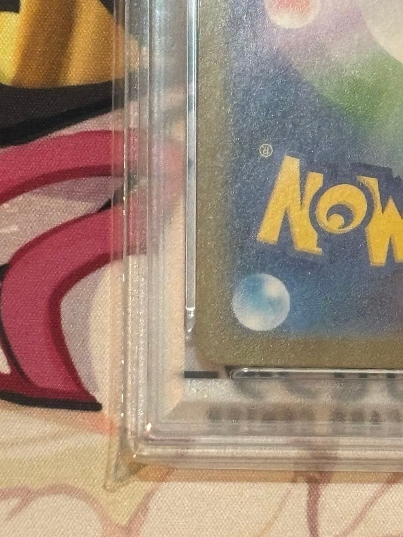 ニコちゃん　ブラッキーex sar PSA10 テラスタルフェスex