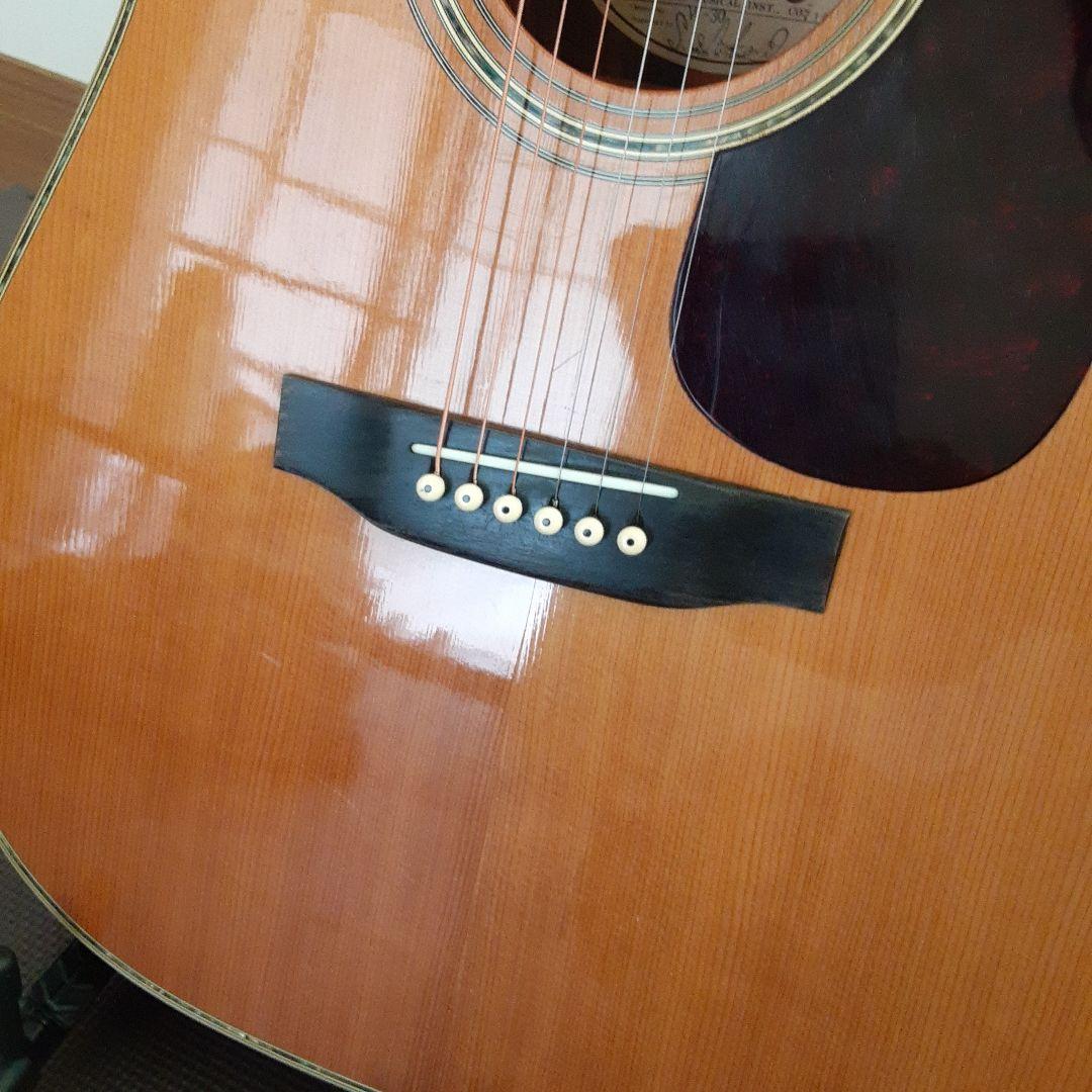 Morris日本製 w30 アコースティックギター ドレッドノート